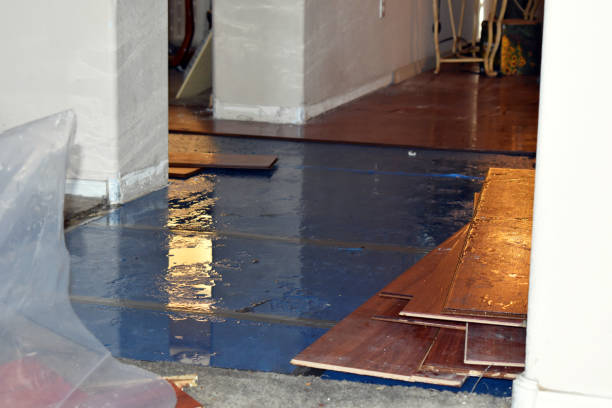 Professional Basement Flood Cleanup technician working in Collinwood, TN